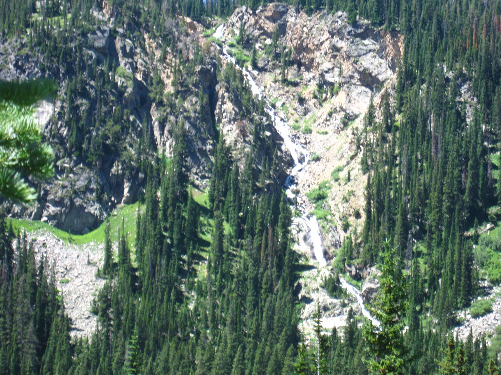 Waterfall cascading through evergreens near Eldora